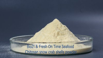 Chitosan powder form
